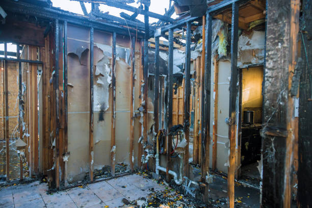 Professional Soot Cleanup technician working in Arlington, MN