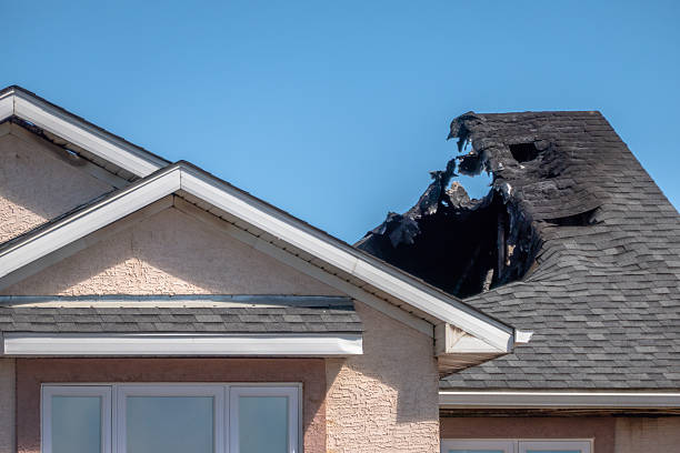 Top rated local Soot Cleanup specialists in Arlington, MN